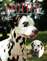 Fall 2010