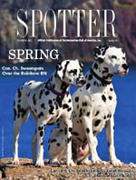 Spring 2011