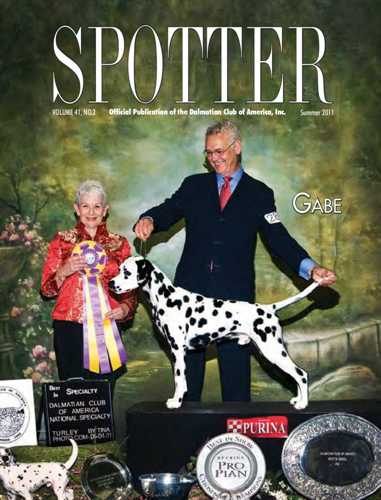 Spotter Online Magazine: Summer 2011 Issue