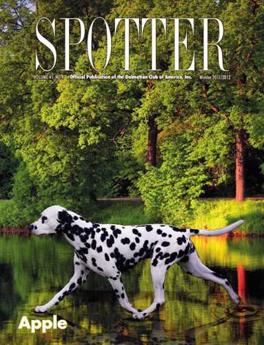 Spotter Online Magazine: Winter 2011 Issue